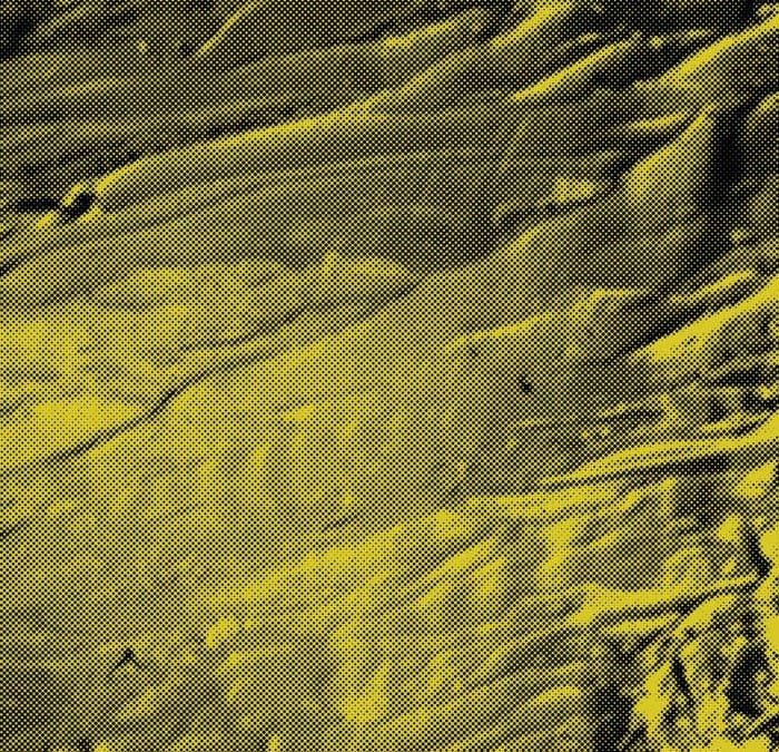 Mind Meld drop dank new single with “You’re Not Free;” Play The Regent with FIDLAR 10.30.2015