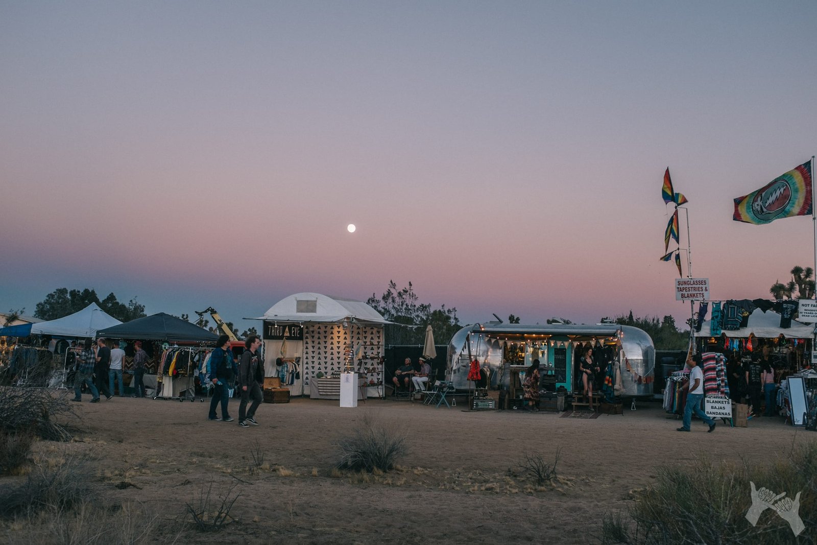 Desert Daze 2016 Desert Daze 2016