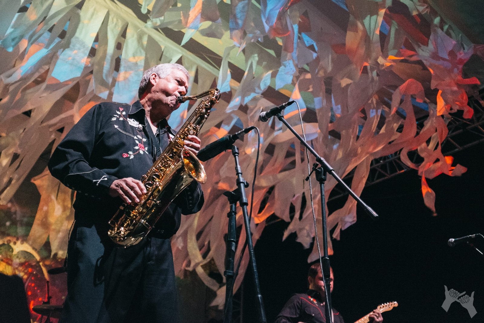 The Sonics at Desert Daze 2016 The Sonics at Desert Daze 2016