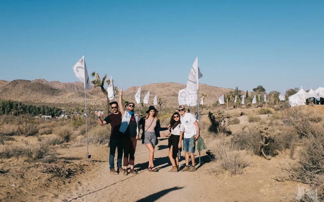 Cool-Tite Guide to Desert Daze 2017