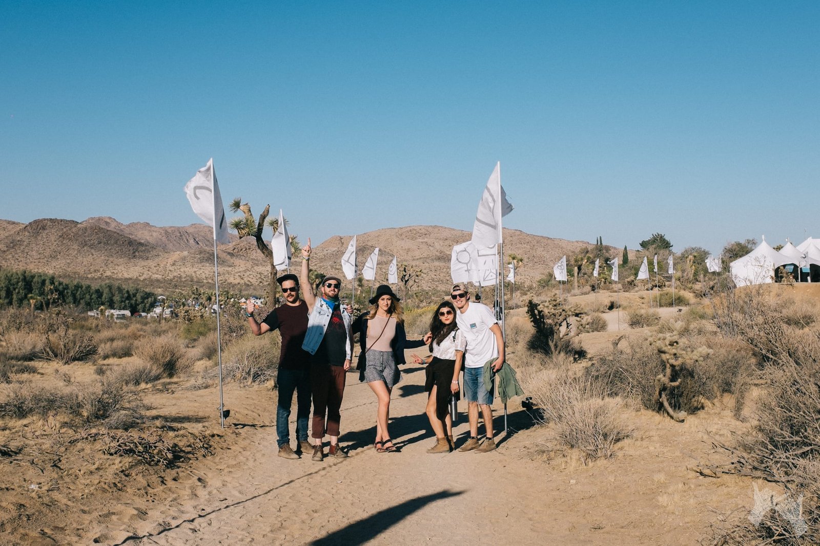 Cool-Tite at Desert Daze 2016 Cool-Tite at Desert Daze 2016