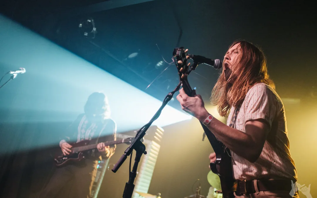 Mind Meld Echo Residency