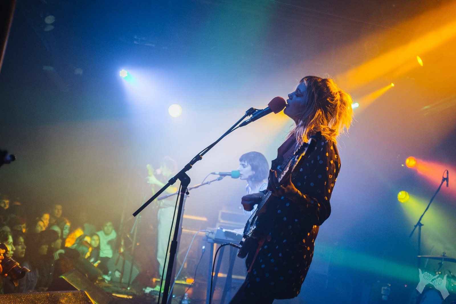 The Paranoyds play Echoplex