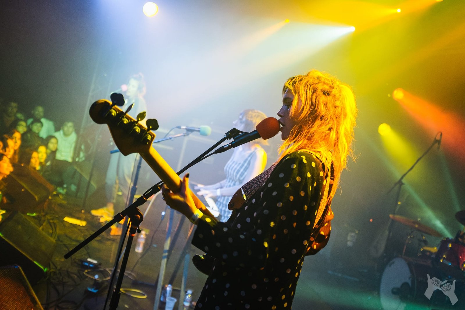 The Paranoyds play Echoplex